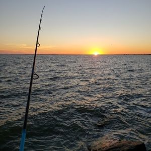 Meet your Posher, Vivian